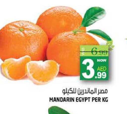 Mandarin from Egypt available at هاشم هايبرماركت in الإمارات العربية المتحدة , الامارات - الشارقة / عجمان
