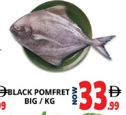 available at اكسبرس المدينة هايبرماركت in الإمارات العربية المتحدة , الامارات - أبو ظبي