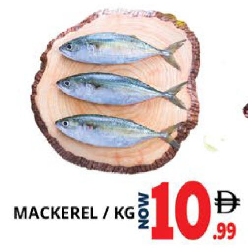 available at اكسبرس المدينة هايبرماركت in الإمارات العربية المتحدة , الامارات - أبو ظبي