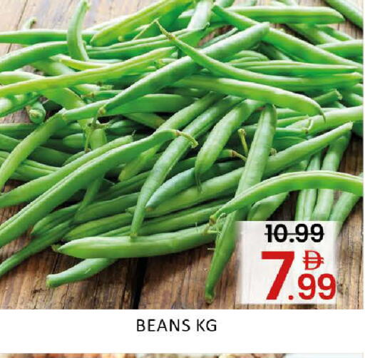 Mango available at Mango Hypermarket LLC in UAE - Dubai