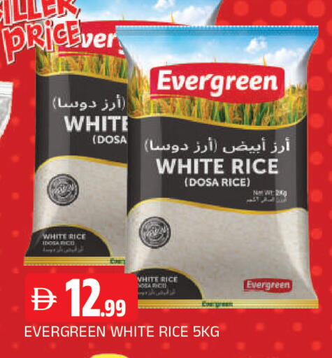 available at المدينة in الإمارات العربية المتحدة , الامارات - الشارقة / عجمان