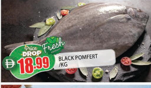 available at AL MADINA in UAE - Sharjah / Ajman