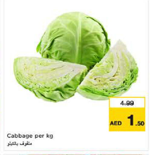 Cabbage available at نستو هايبرماركت in الإمارات العربية المتحدة , الامارات - ٱلْعَيْن‎