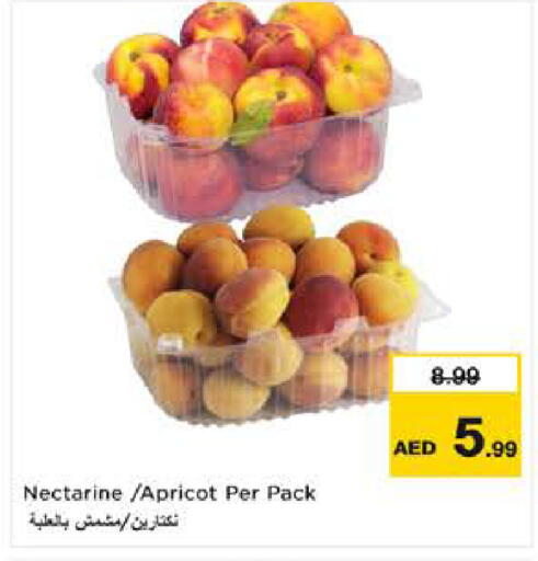 Nectarine Apricot available at نستو هايبرماركت in الإمارات العربية المتحدة , الامارات - ٱلْعَيْن‎