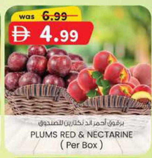Plums Nectarine available at ك. الم. للتجارة in الإمارات العربية المتحدة , الامارات - ٱلْفُجَيْرَة‎