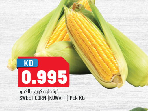 from Kuwait available at Oncost in Kuwait - Jahra Governorate