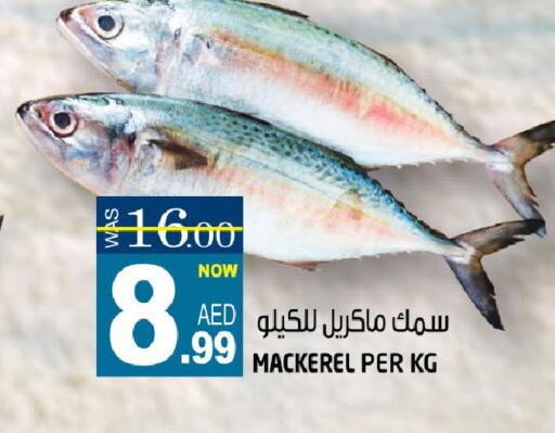 available at هاشم هايبرماركت in الإمارات العربية المتحدة , الامارات - الشارقة / عجمان