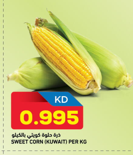 from Kuwait available at Oncost in Kuwait - Jahra Governorate