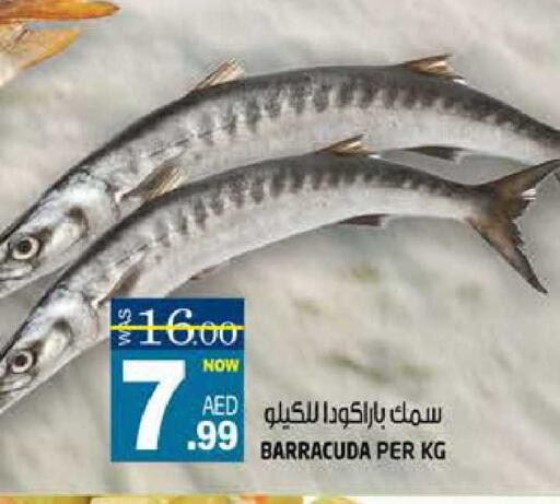 available at هاشم هايبرماركت in الإمارات العربية المتحدة , الامارات - الشارقة / عجمان