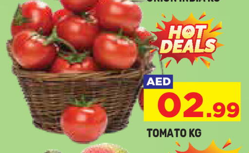 Tomato available at Baniyas Spike  in UAE - Umm al Quwain