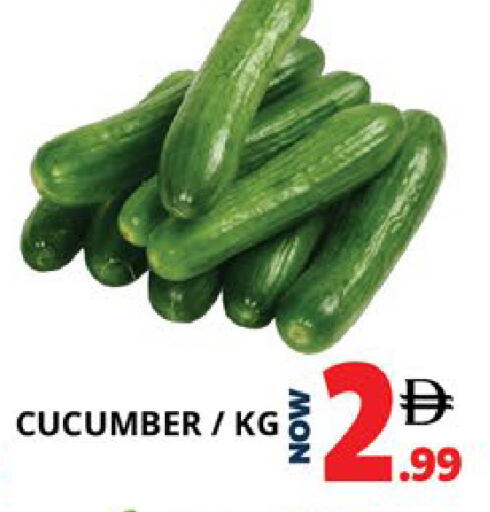 Cucumber available at EXPRESS AL MADEENA HYPERMARKET LLC in UAE - Abu Dhabi