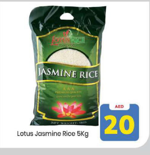 available at مارك & سيف in الإمارات العربية المتحدة , الامارات - أبو ظبي