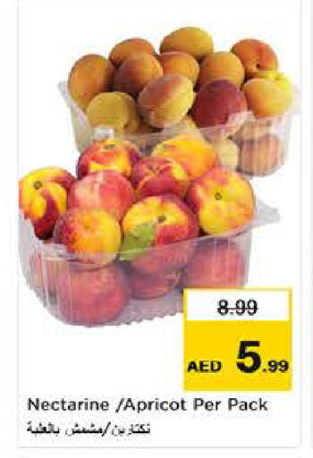 Nectarine Apricot available at Last Chance  in UAE - Fujairah