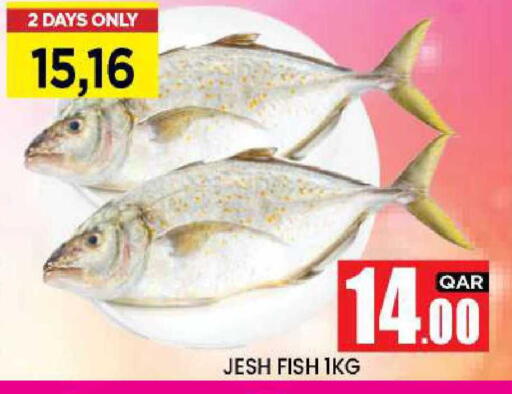 available at نيو ستوب اند شوب @فريج بن عمران in قطر - الوكرة