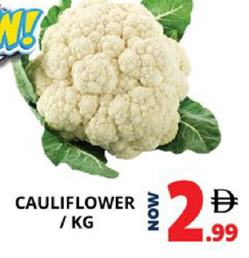 Cauliflower available at اكسبرس المدينة هايبرماركت in الإمارات العربية المتحدة , الامارات - أبو ظبي