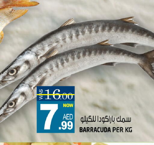 available at هاشم هايبرماركت in الإمارات العربية المتحدة , الامارات - الشارقة / عجمان