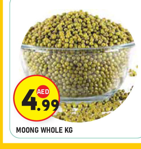 available at سنابل بني ياس in الإمارات العربية المتحدة , الامارات - أبو ظبي