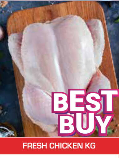 available at سنابل بني ياس in الإمارات العربية المتحدة , الامارات - أبو ظبي