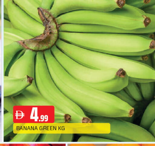 Banana available at المدينة in الإمارات العربية المتحدة , الامارات - الشارقة / عجمان