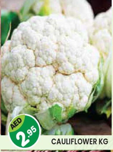 Cauliflower available at Baniyas Spike  in UAE - Abu Dhabi