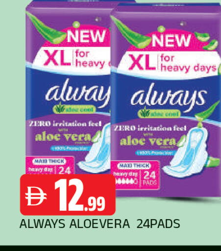 available at المدينة in الإمارات العربية المتحدة , الامارات - الشارقة / عجمان