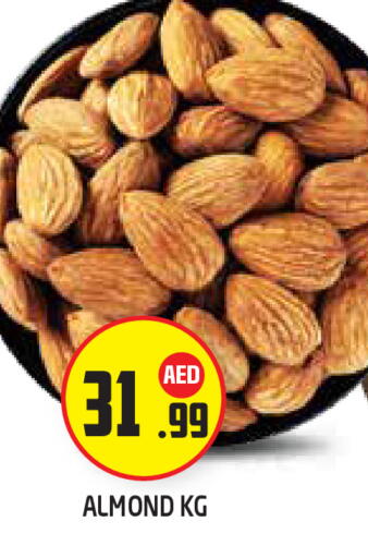 available at سنابل بني ياس in الإمارات العربية المتحدة , الامارات - أبو ظبي