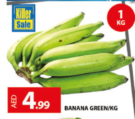 Banana available at المدينة in الإمارات العربية المتحدة , الامارات - دبي