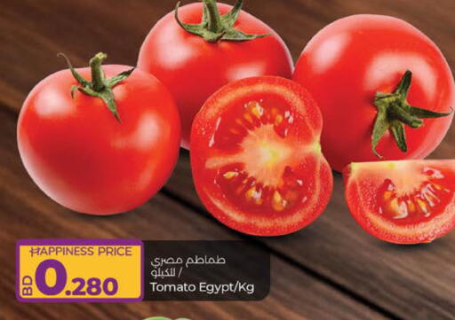 Tomato from Egypt available at لولو هايبر ماركت in البحرين