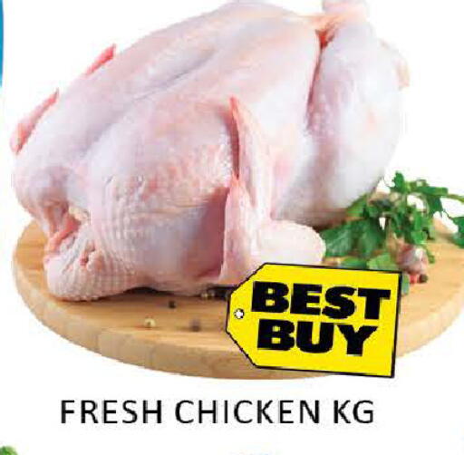 Mango available at مانجو هايبرماركت in الإمارات العربية المتحدة , الامارات - دبي