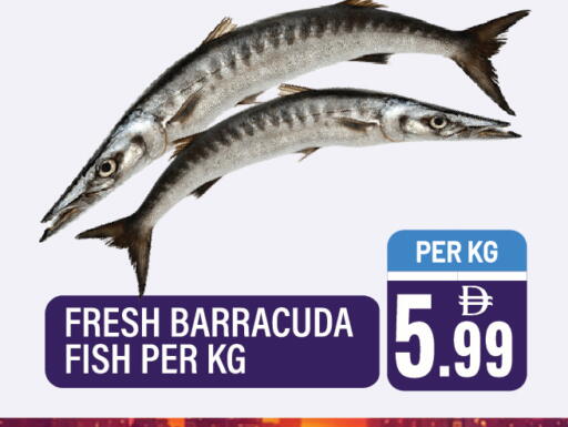 available at Dream Land in UAE - Sharjah / Ajman