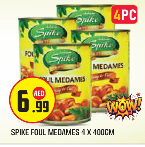 available at سنابل بني ياس in الإمارات العربية المتحدة , الامارات - أبو ظبي