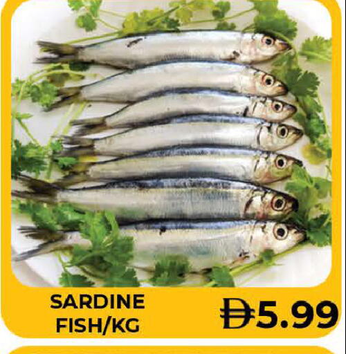 available at AL MADINA (Dubai) in UAE - Dubai