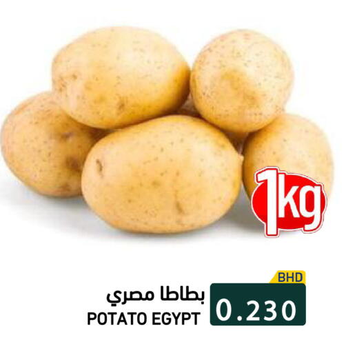 Potato from Egypt available at رامــز in البحرين