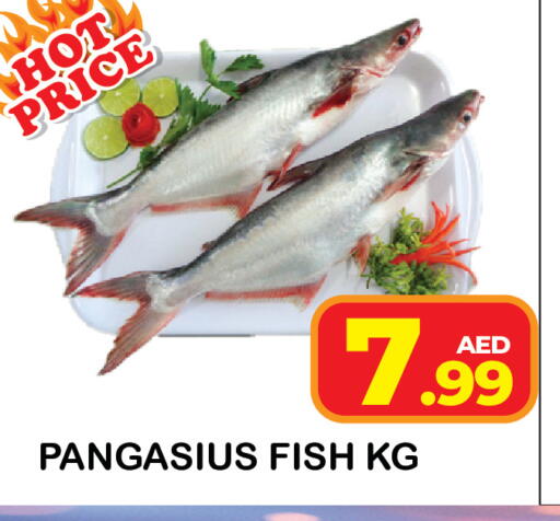 available at سنابل بني ياس in الإمارات العربية المتحدة , الامارات - رَأْس ٱلْخَيْمَة