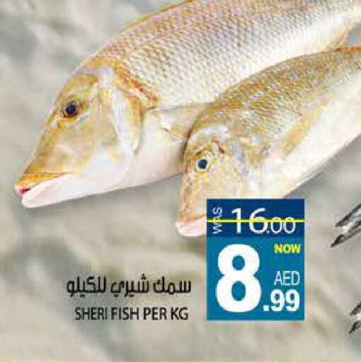 available at هاشم هايبرماركت in الإمارات العربية المتحدة , الامارات - الشارقة / عجمان