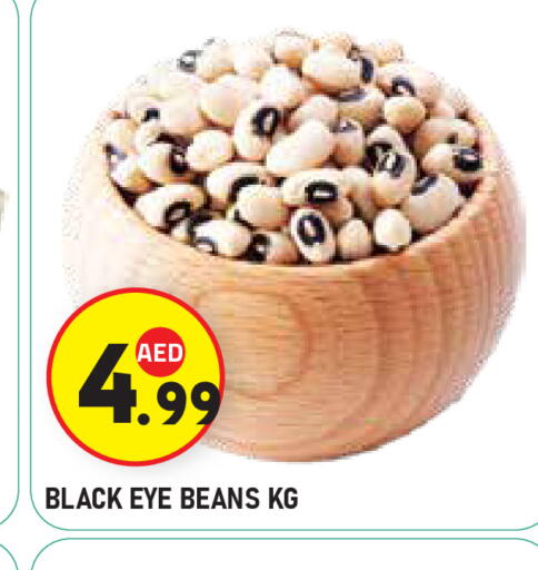 available at سنابل بني ياس in الإمارات العربية المتحدة , الامارات - أبو ظبي