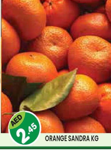 Orange available at سنابل بني ياس in الإمارات العربية المتحدة , الامارات - أبو ظبي
