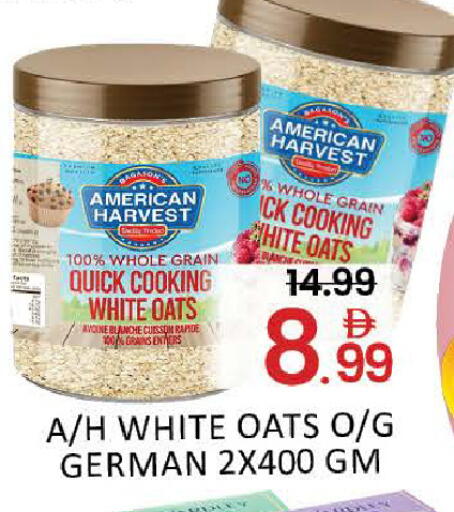 Mango available at مانجو هايبرماركت in الإمارات العربية المتحدة , الامارات - دبي