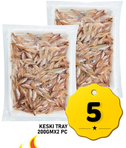 available at باشن هايبر ماركت in قطر - الريان