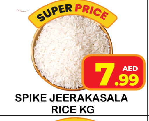 available at سنابل بني ياس in الإمارات العربية المتحدة , الامارات - رَأْس ٱلْخَيْمَة