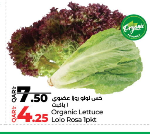 Lettuce available at LuLu Hypermarket in Qatar - Umm Salal