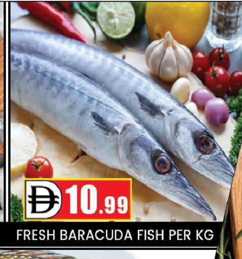 available at المدينة in الإمارات العربية المتحدة , الامارات - دبي