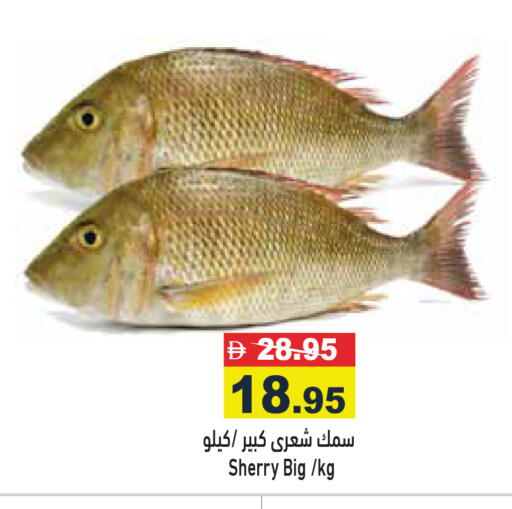 available at أسواق رامز in الإمارات العربية المتحدة , الامارات - أبو ظبي