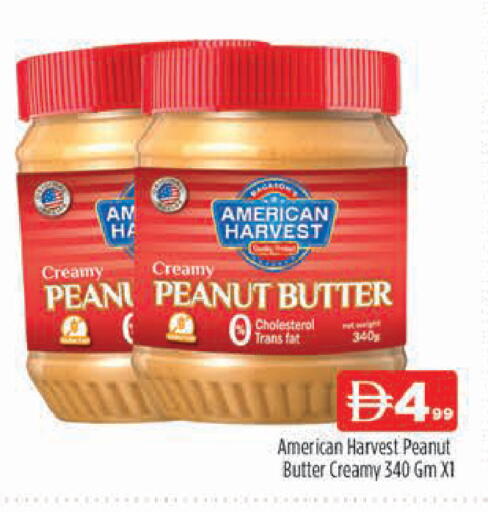 available at المدينة in الإمارات العربية المتحدة , الامارات - دبي