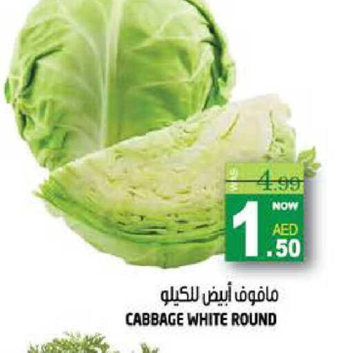 Cabbage available at هاشم هايبرماركت in الإمارات العربية المتحدة , الامارات - الشارقة / عجمان