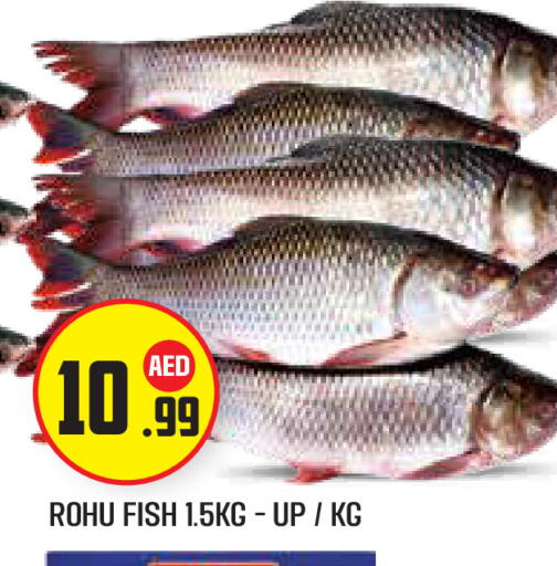 available at Baniyas Spike  in UAE - Abu Dhabi