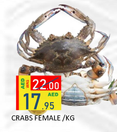 available at رويال جلف هايبرماركت in الإمارات العربية المتحدة , الامارات - أبو ظبي