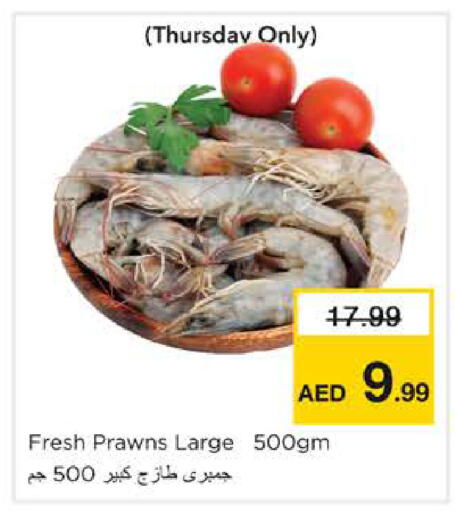 available at نستو هايبرماركت in الإمارات العربية المتحدة , الامارات - الشارقة / عجمان