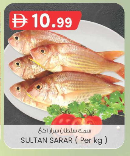 available at الصفا in الإمارات العربية المتحدة , الامارات - أبو ظبي