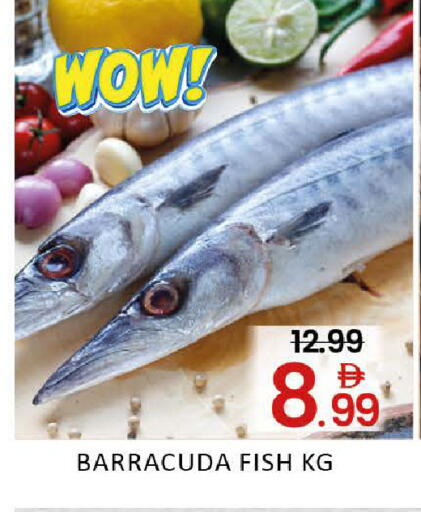 Mango available at مانجو هايبرماركت in الإمارات العربية المتحدة , الامارات - دبي